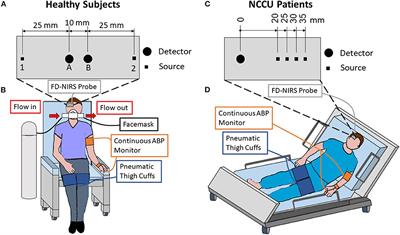 Frontiers Noninvasive Optical Measurements Of Dynamic Cerebral